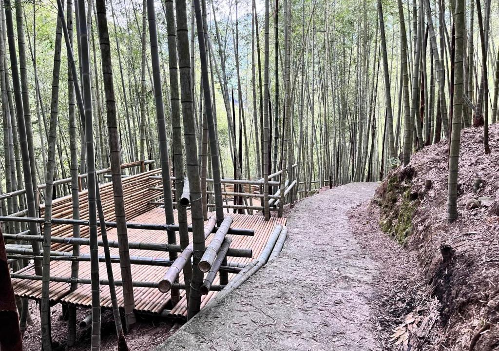 Sanyi House | 牛奶森林 柏竺山莊Bozhu villa