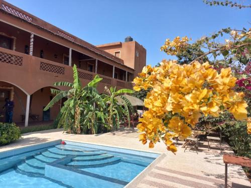 Toubab Dialao Hostel | Begue Pokai