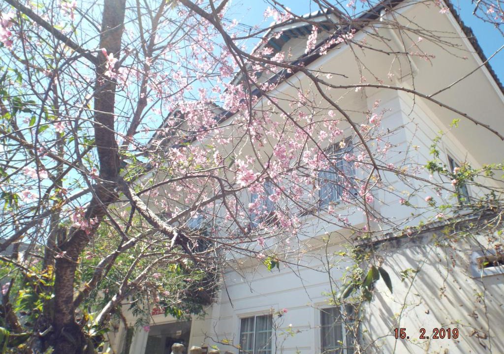 Phuong Villa | Biệt thự Khánh Lâm