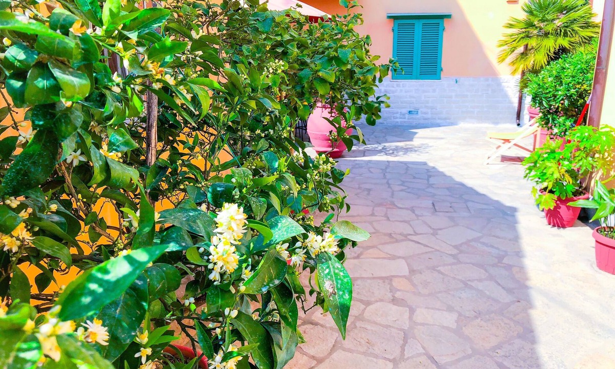 Nozzano Castello Apartment | Cuore di Nozzano Castello