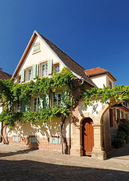 Rhodt unter Rietburg House | Gästehaus Zum Weinbauer