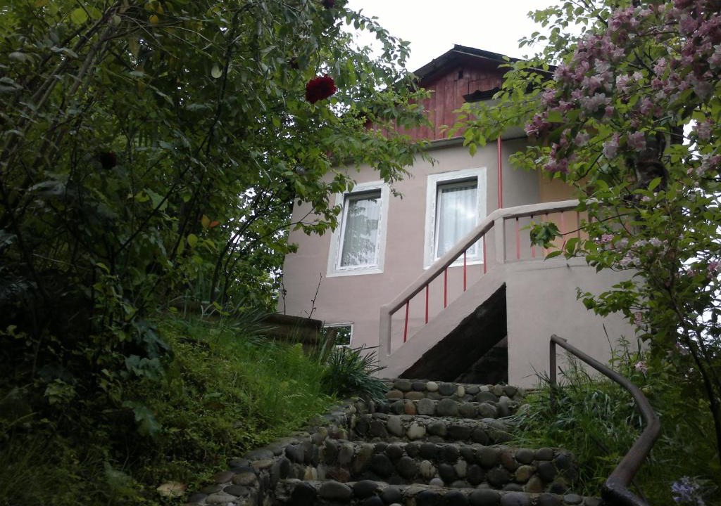 Mtsvane Kontskhi House | House Ilia