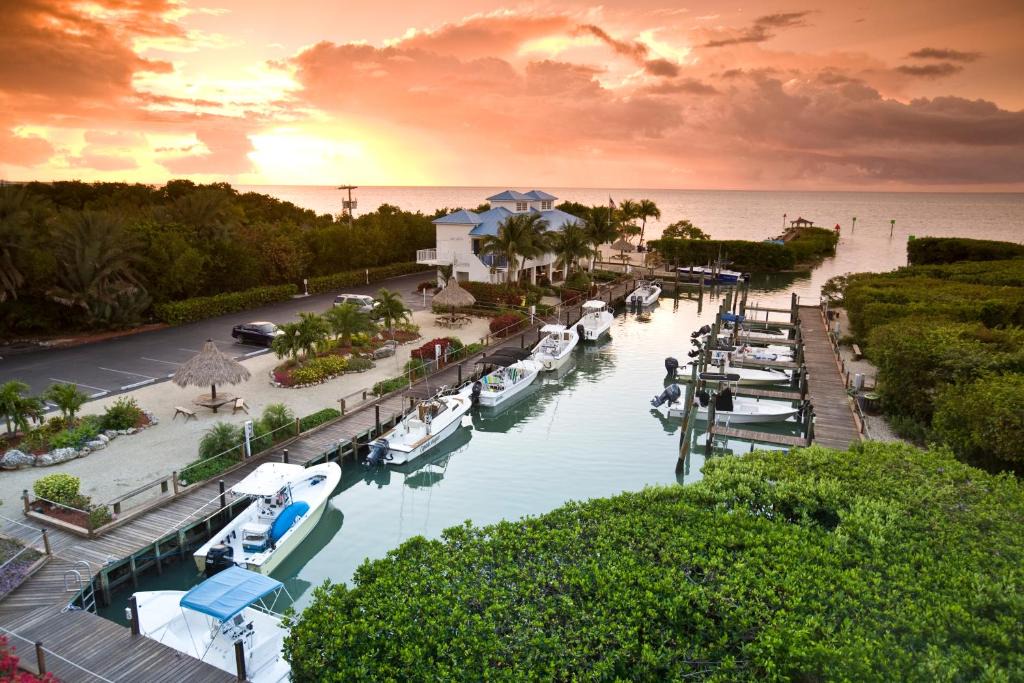 Tavernier Apartment | Ocean Pointe Suites at Key Largo