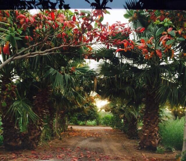 Sharjah House | Revaloo farm (Family Only)