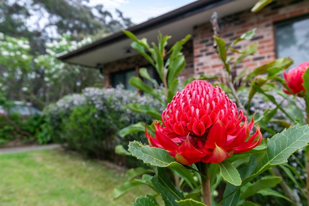 Katoomba House | Snug Cottage