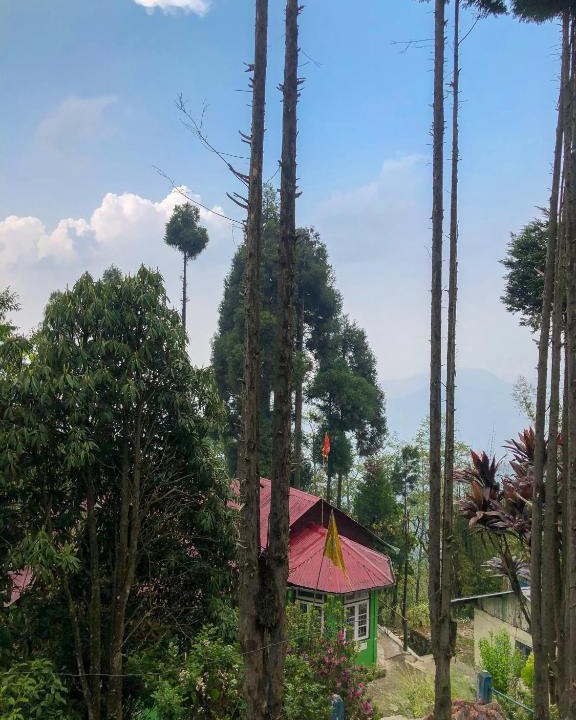 Turuk House | The AlderNest
