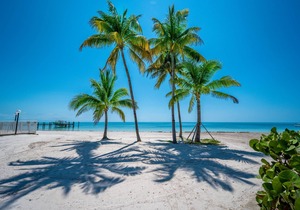 PS Sandy Beach, Pool View, dock, WiFi, Tennis, Jacuzzi, arrive any day, tropical