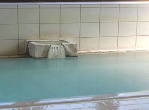 Yoshidaya Ryokan | Zaoonsen