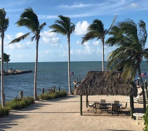 Dock Marathon 