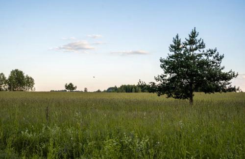 Torva Other | Countryside tent near Tõrva