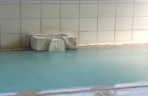 Zaoonsen Hotel | Hotel ∙ 1 bedroom ∙ 4 guests
