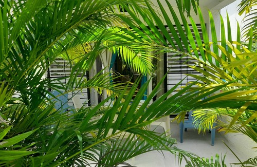 Rendezvous Apartment | Minutes from South Coast Action, Steps from the Green: Private Oasis Awaits.