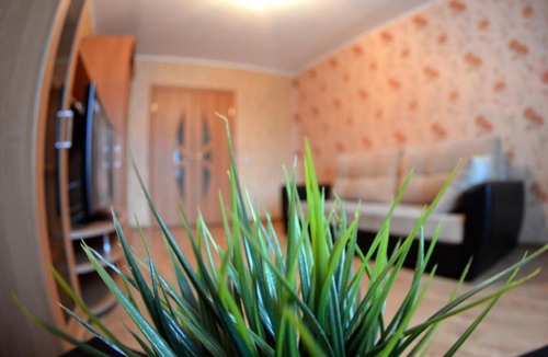 Vladimir Apartment | Нижняя Дуброва 21