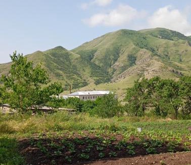 T'ba House | გიოს ქოხი