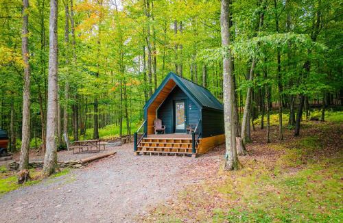 Wellsboro House | A-frame 1