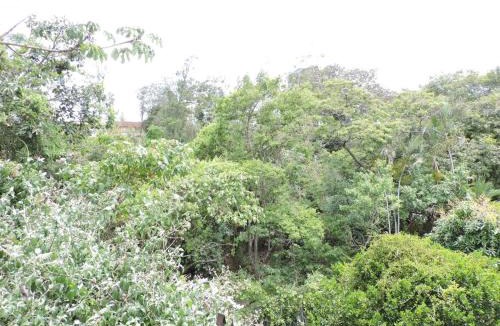 Ciudad Cariari Apartment | Apartamento Centro Convenciones Costa Rica