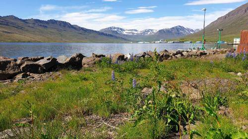 Neskaupstadur Bed & Breakfast | Bed and breakfast ∙ 6 guests