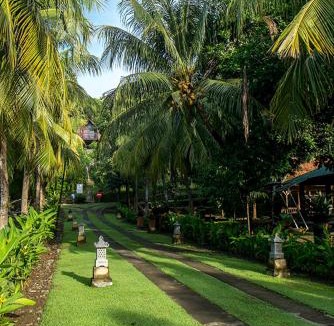 Kalipuro House | Bella Vista Premium Homestay
