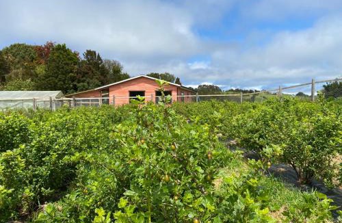 Ancud House | Cabaña Nueva en Ancud Chiloe