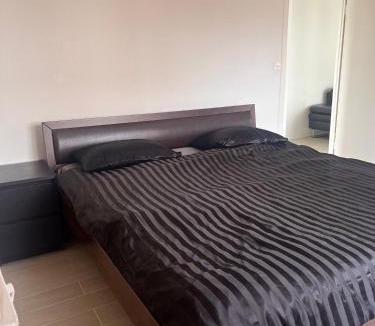 Nyon Apartment | Cosy apartment - Business Trip