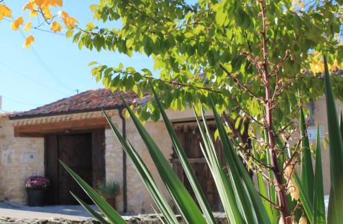 Cubillo House | Cotanilla