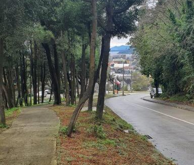 Puerto Varas Apartment | Departamento Plaza Schwerter