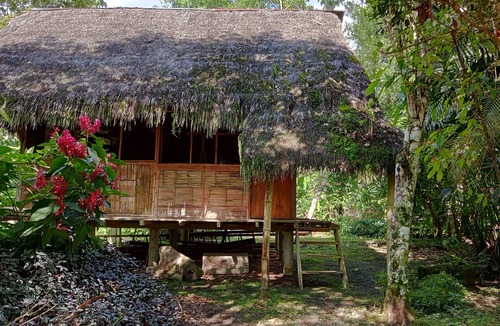 Ahuano Cabin | Discover serenity in the Ecuadorian Amazon.