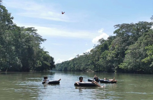 Ahuano Cabin | Discover serenity in the Ecuadorian Amazon.