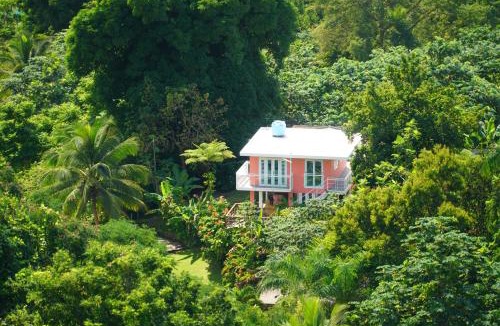 Rio Blanco Cabin | El Yunque Waterfalls Romantic Stay at Casa Parcha