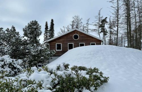 Wilsum House | Familiehuis met Hottub | 10 Pers.