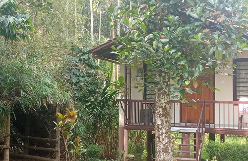 Vayittiri House | Family Villa is a hut Style Accommodation