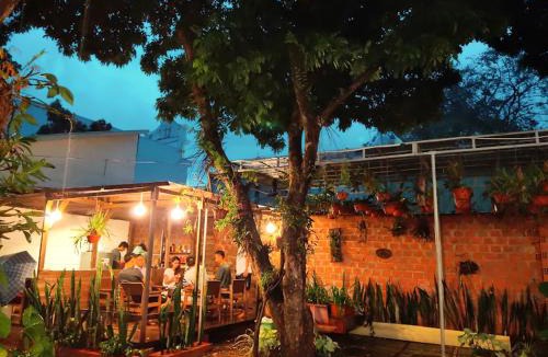 Pleiku House | Homestay Vườn nhãn