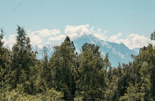 Palmer House | Lazy Mountain Guest House
