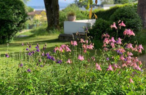 Nyon Apartment | 'Le Petit Clos Suites'- Charming Getaway on Leman Lake