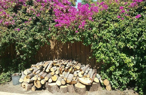 North Hollywood House | Private, secure and lovely home minutes from Universal and Hollywood
