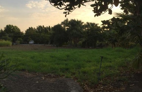 Sharjah House | Revaloo farm (Family Only)