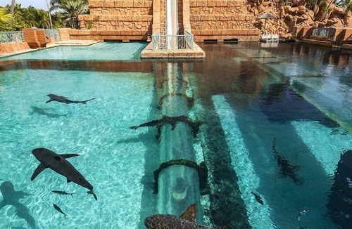 Paradise Island Villa | Steps from Atlantis Waterpark + Passes for 10 Guests at Harborside Resort