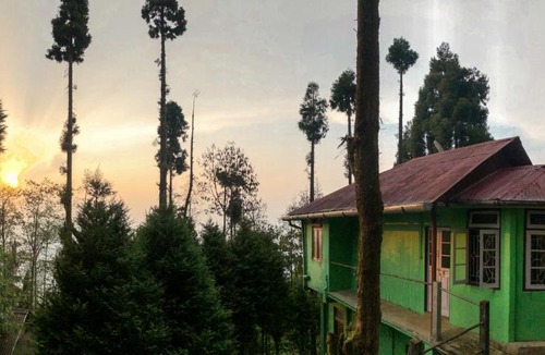 Turuk House | The AlderNest