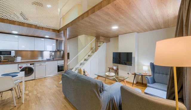 Central bright and cozy penthouse for 4 people