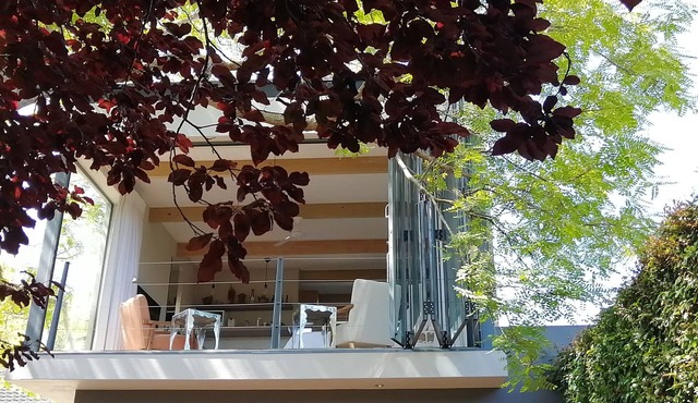 Fresh Constantia ' Treehouse' Studio Apartment