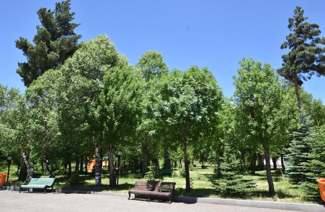 Narek Rest house in Jermuk