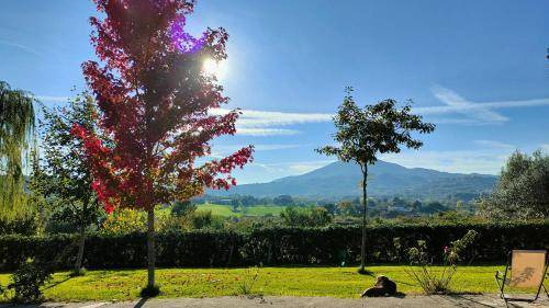 Caiazzo Bed & Breakfast | 30 m² Bed and breakfast ∙ 2 guests