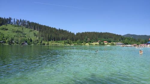 Mitterbach am Erlaufsee Apartment | Nur 3 Min zu Skilift & 5Min zum See