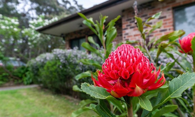 Katoomba House | Snug Cottage