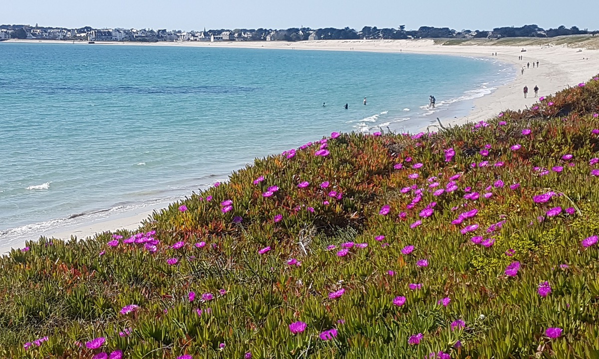 Saint-Segal House | Finistere, Entre MER ET Monts, Maison Lumineuse