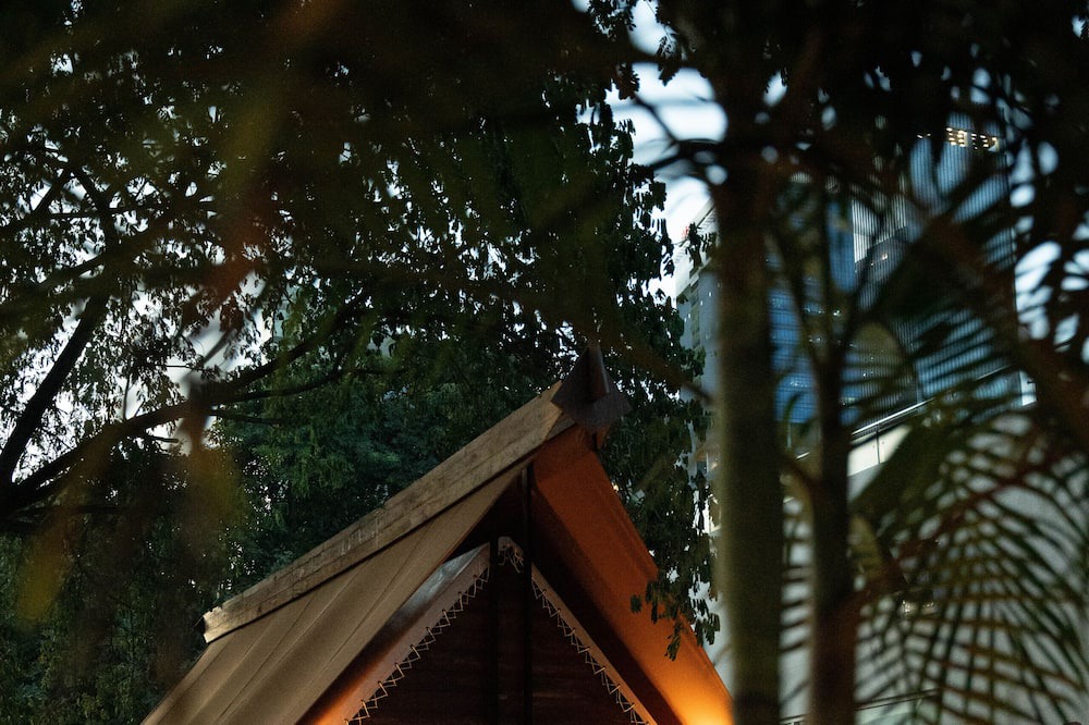 Koh Pich Cabin | The Treellion Jungloo