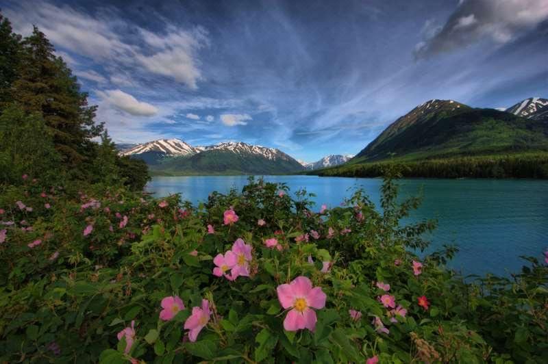 Photo of Outdoor in Midtown Anchorage