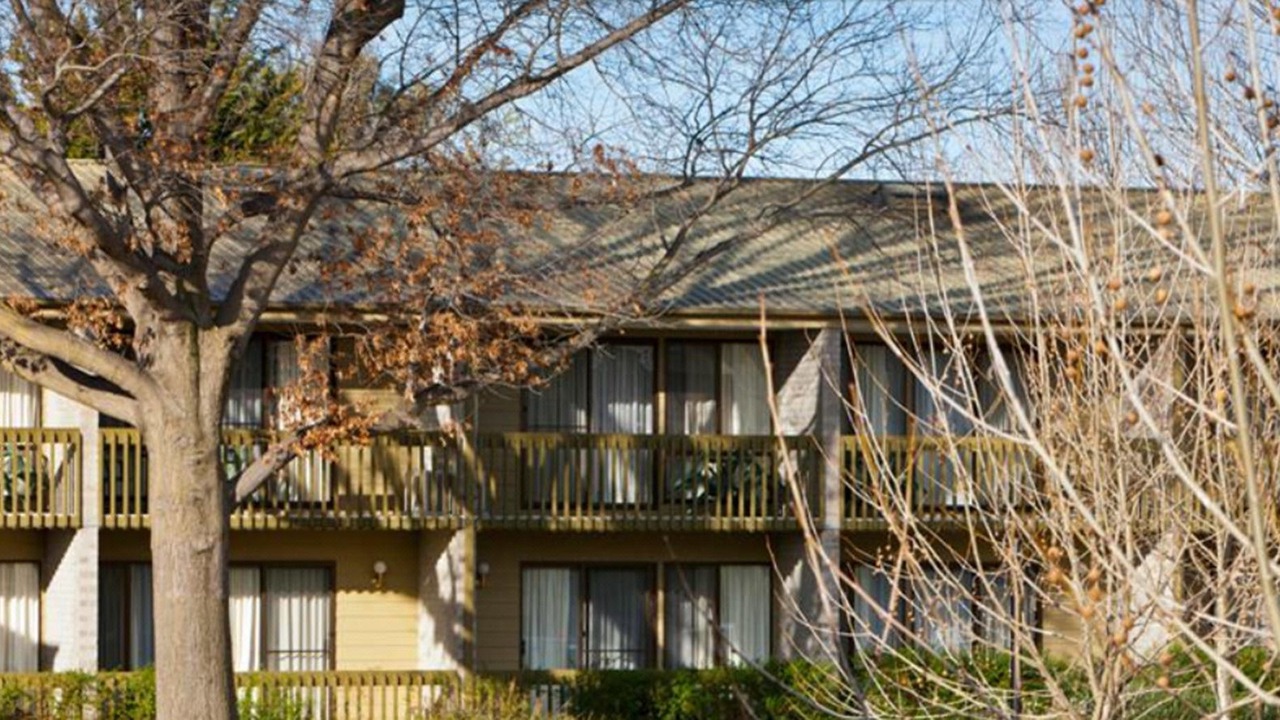 Photo of Buildings in Ainslie
