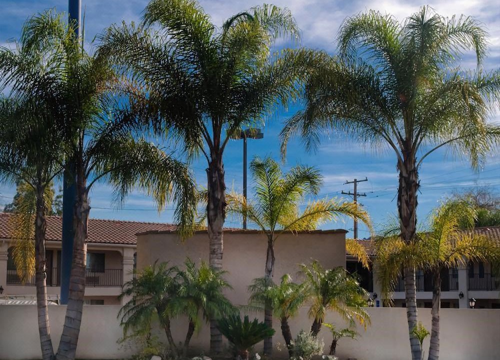 Photo of Others in Burbank