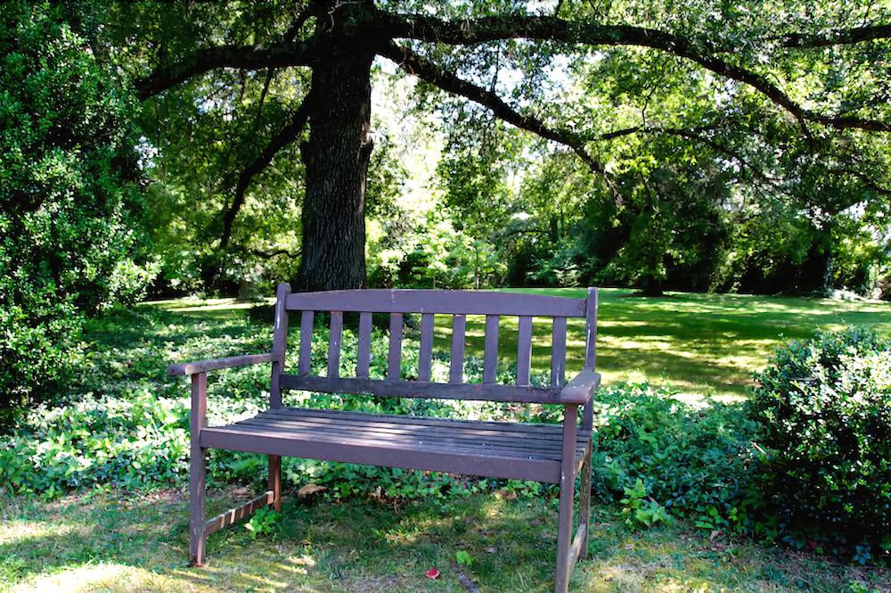 Photo of Others in Appomattox